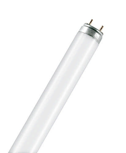 Osram Leuchtstofflampe L 40 Watt 840 C neutralweiss T8 G10Q circular 26mm tube